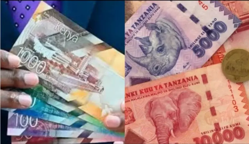 Voici les 10 pays africains avec les plus gros budgets en 2025